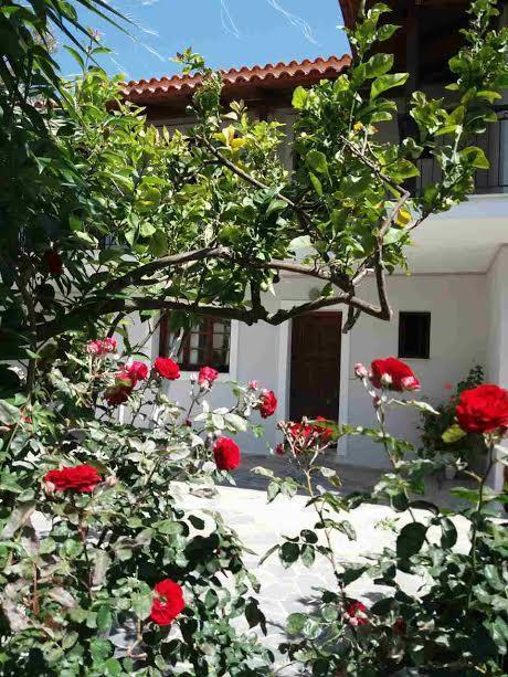 Athina Apartments Argassi Zewnętrze zdjęcie